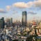 Japan's tallest skyscraper erected in Tokyo