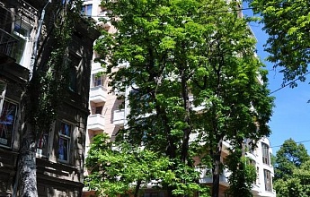 BELAYA ACACIA (White Robinia) Residential Compound